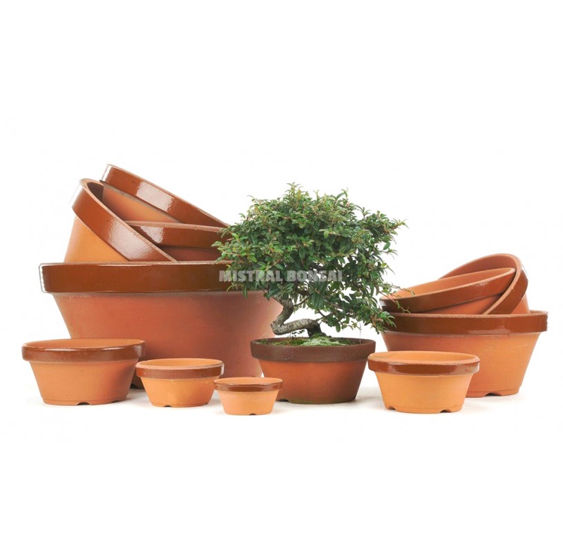 Pot rond en terre cuite pour bonsaï de 12 5 cm Mistral Bonsai