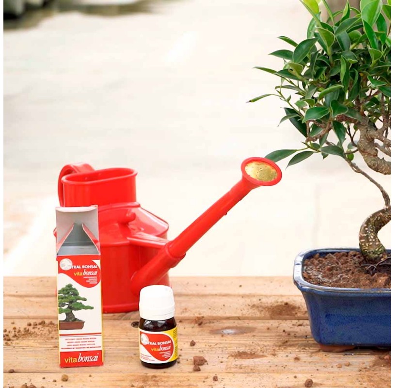 Arrosoir Bonsa Plastique L Rouge Arrosage Mistral Bonsai