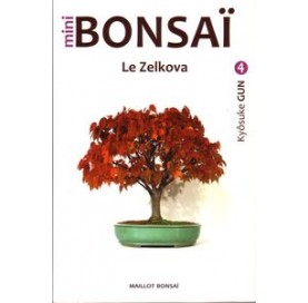 Buch MINI BONSAÏ: Le Zelkova (FR)
