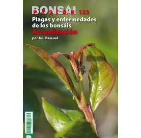 Revue Nº123 BONSÁI PASIÓN