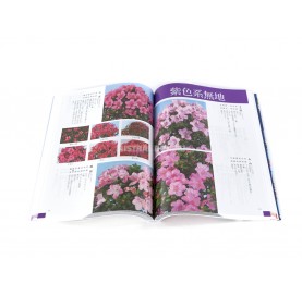 Libro Satsuki Research. Diccionario de Azaleas, 1400 especies (JP)