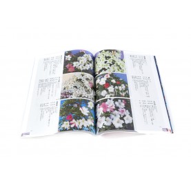 Libro Satsuki Research. Diccionario de Azaleas, 1400 especies (JP)