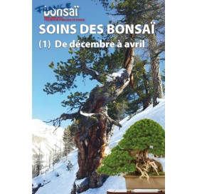 Nº 148 FRANCE BONSAÏ. Soins des bonsaï (1) De décembre à avril