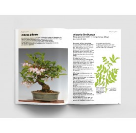 Nº 149 FRANCE BONSAÏ. Soins des bonsaï (2) De avril à août