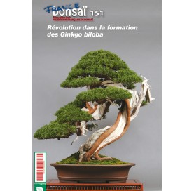 Magazine FRANCE BONSAÏ Nº 151. Révolution dans la formation des Ginkgo biloba