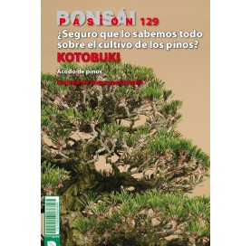 Revue Nº 129 BONSÁI PASIÓN. Techniques de culture des pins en pleine terre…  et en pot