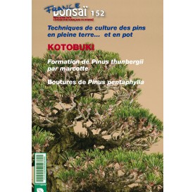 Nº 152 FRANCE BONSAÏ. Techniques de culture des pins en pleine terre…  et en pot