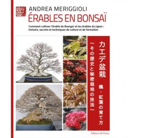 Livre Érables en Bonsaï. Comment cultiver l'érable de Buerger et les érables du Japon.