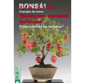Nº 130 BONSÁI PASIÓN - Técnicas para reproducir los árboles