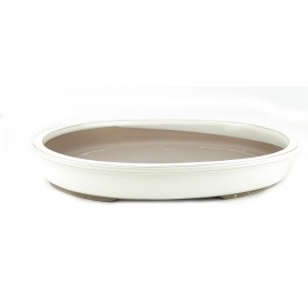 Pot ovale pour bonsaï 40.5 cm crème