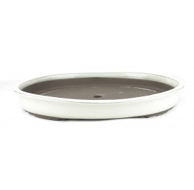 Pot ovale pour bonsaï 44 cm crème