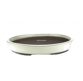 Tiesto oval para bonsái 37...