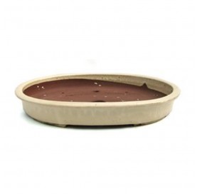 Pot ovale 47x36x7 cm pour bonsaï crème