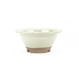 Pot rond pour bonsaï 19.5x8.5 cm crème