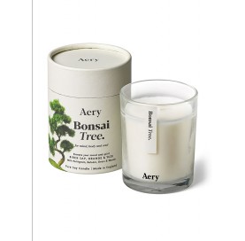 Bonsai-inspired scented Candle - birch sap orange and yuzu