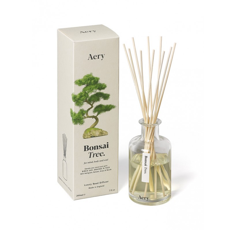 Bonsai tree reed diffuser - birch sap orange and yuzu