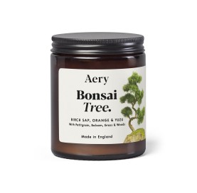 Bonsai scented jar candle - birch sap orange and yuzu