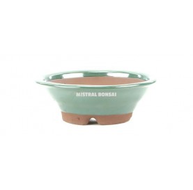 Pot rond pour bonsaï 17x5.5 cm vert