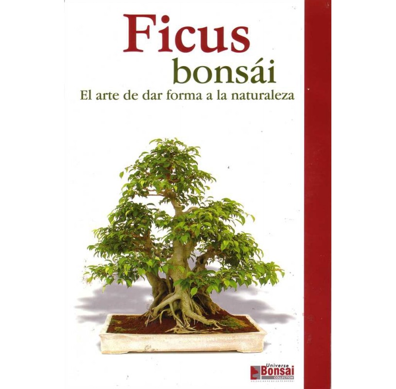Guía Bonsái Ficus