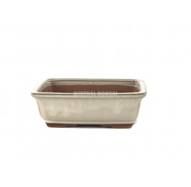 Pot rectangulaire pour bonsaï 18.5x13.5x6 cm crème