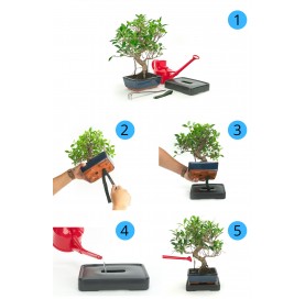 Automatische Bewässerung für Bonsai 15 cm