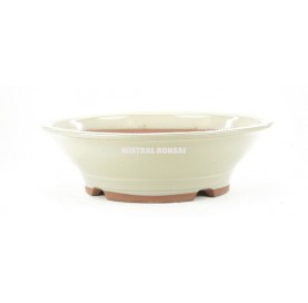 Pot rond pour bonsaï 36.5x10.5 cm crème