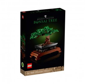 Bonsaï d'intérieur 5 ans + Pack Lego Bonsaï.