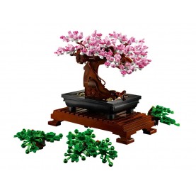 Set Zimmerbonsai 10 Jahre + LEGO Bonsai