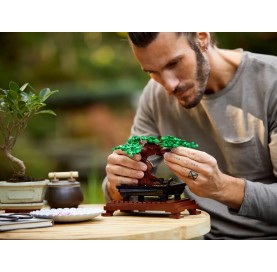 Set Zimmerbonsai 5 Jahre + LEGO Bonsai