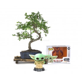 Kit Bonsái interior 6 años + Funko Pop Baby Yoda (Mandalorian)