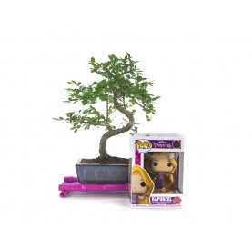 Kit Bonsaï intérieur 6 ans + Funko Pop Rapunzel