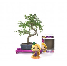 Kit Bonsaï intérieur 6 ans + Funko Pop Rapunzel