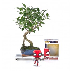 Kit Bonsái interior 6 años + Funko Pop Spiderman