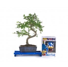 Kit Bonsái interior 6 años + Funko Pop Sonic