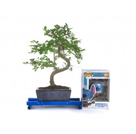 Kit Indoor Bonsai 6 years + Funko Pop Stitch