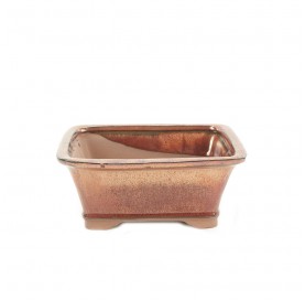 Rectangular bonsai pot 21...