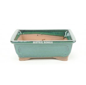 BASIC CLASS Pot rectangulaire 16 cm vert