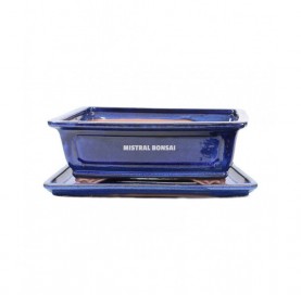 Tiesto rectangular para bonsái 32 cm con plato. Azul