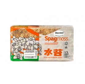 Bonsai Moos BLENDED 150 grs