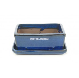 Rectangular pot 16.5 cm with saucer, colours