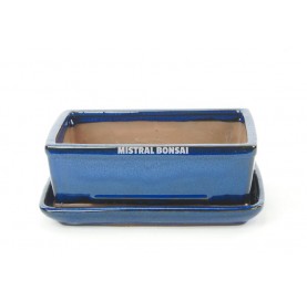 Tiesto rectangular para bonsái 21.5 cm con plato colores