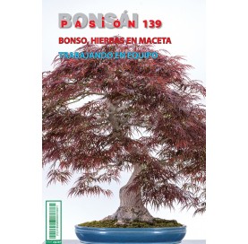 Nº139 BONSÁI PASIÓN -...
