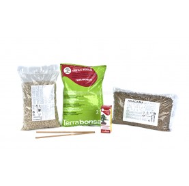Special repotting. Soils...