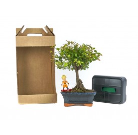 Kit Auto riego Goku-Sai....