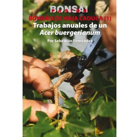 Nº141 BONSÁI PASIÓN -...