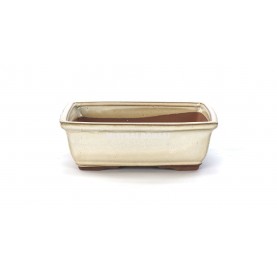 Rectangular bonsai pot...