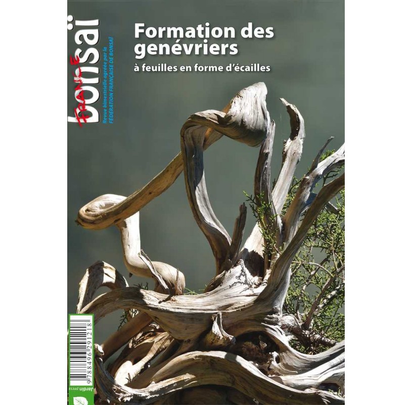 FRANCE BONSAÏ - Monographie: Formation des Genévriers Nº 96