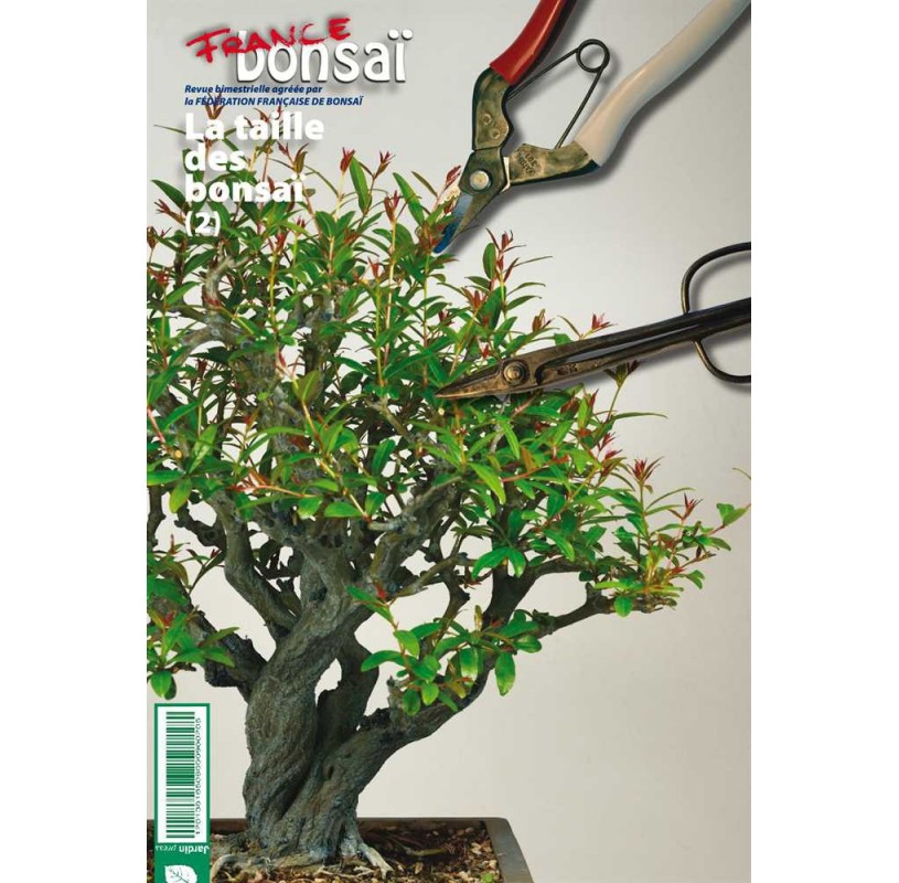 Nº 111 FRANCE BONSAÏ - Monographie: La taille des bonsaï (2)