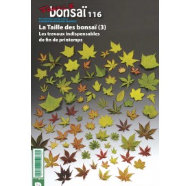 Nº 116 FRANCE BONSAÏ - La taille des bonsaï (3)