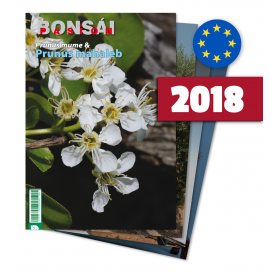 Abonnement Bonsai Pasion année 2017 (UE)